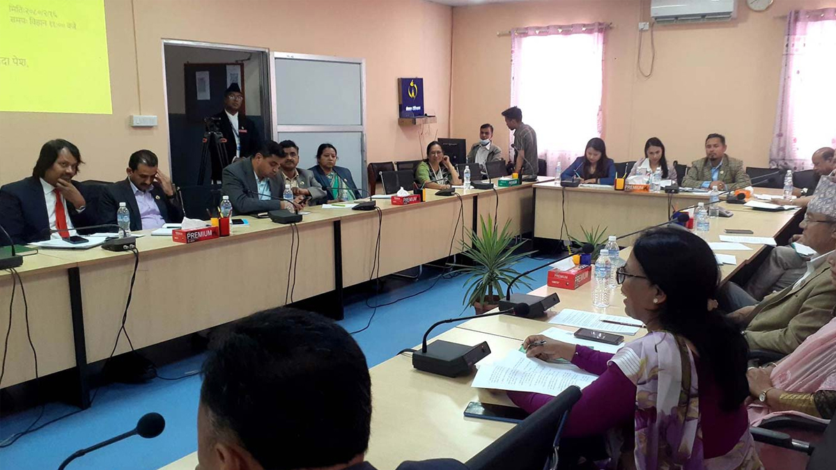 पूर्वाधार विकास समितिका आन्तरिक कार्यविधि पारित, विषयगत छलफल अघि बढ्ने